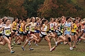 2010CIF XC GD2-1955